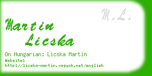 martin licska business card